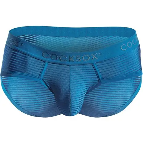 Contoured Pouch Briefs (2) Contoured Pouch Briefs (2)
