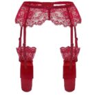 Garter Belts with Stockings (3)