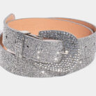 Rhinestone belt (1)