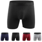 Seamless Microfibre Trunks (1)