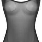 Sheer Mesh One-piece (1)