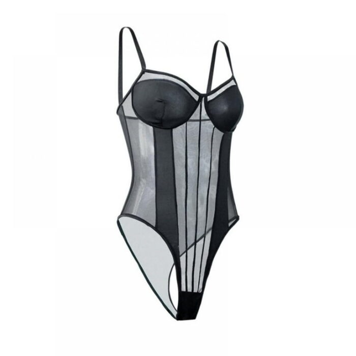 Sheer Mesh One-piece (1)